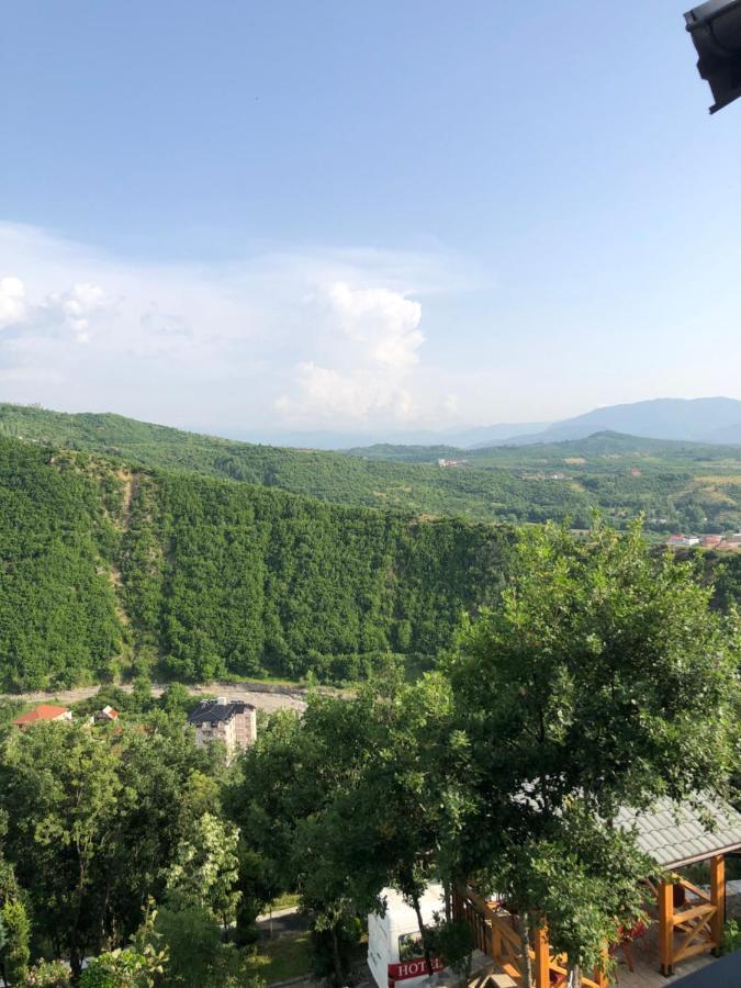 Bujtina Vrenezi Hotel Peshkopi Exterior photo